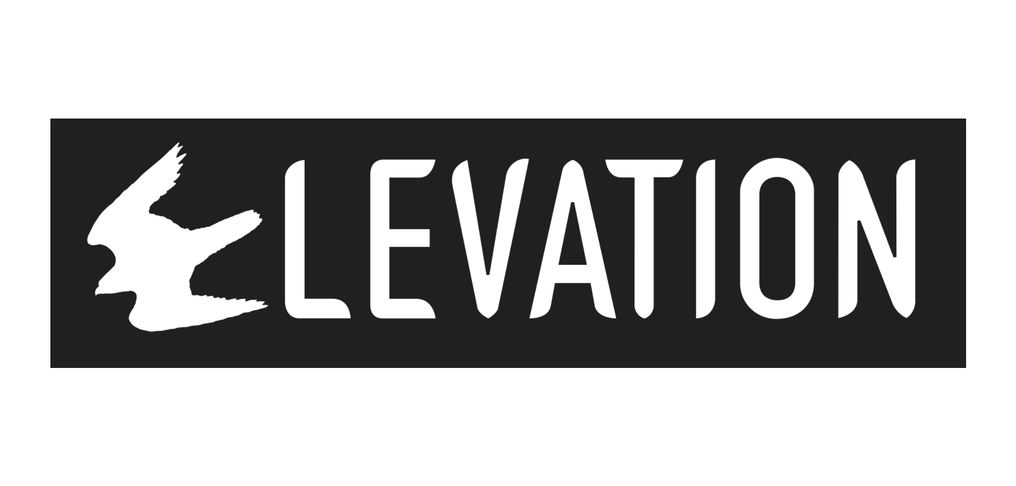 Elevation Disc Golf