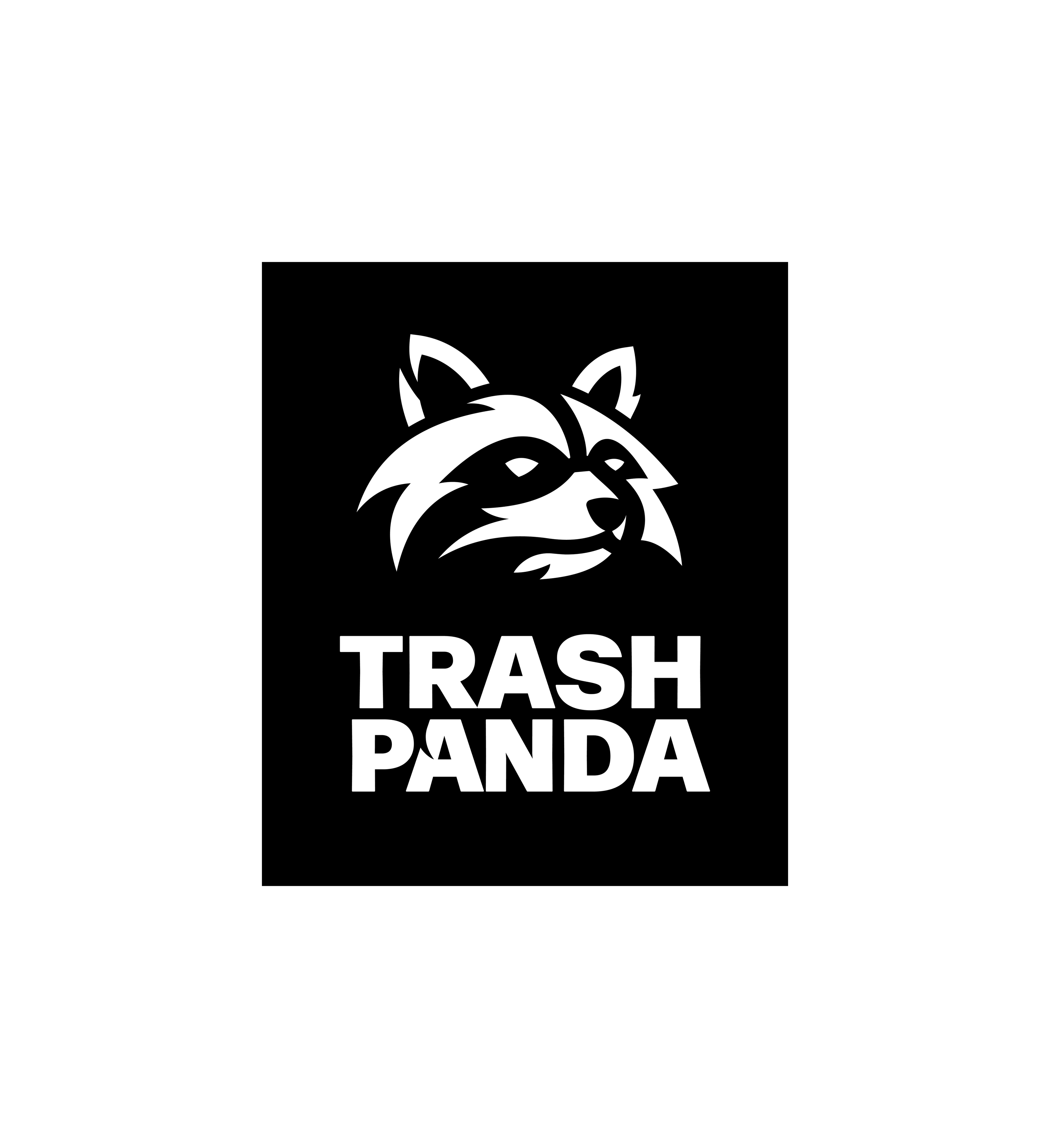 Trash Panda