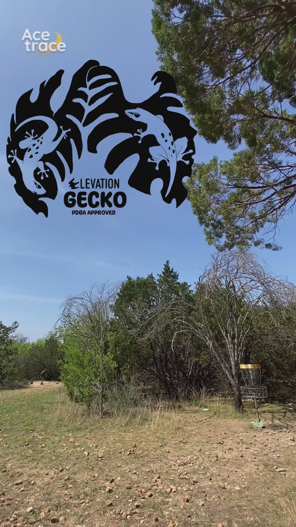 Gecko - ecoFirm