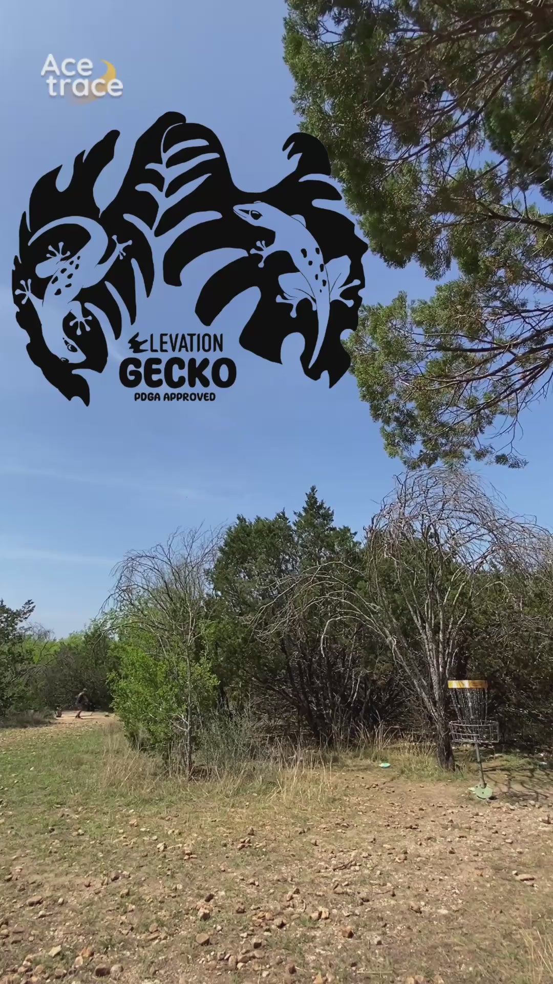 Gecko - ecoFirm