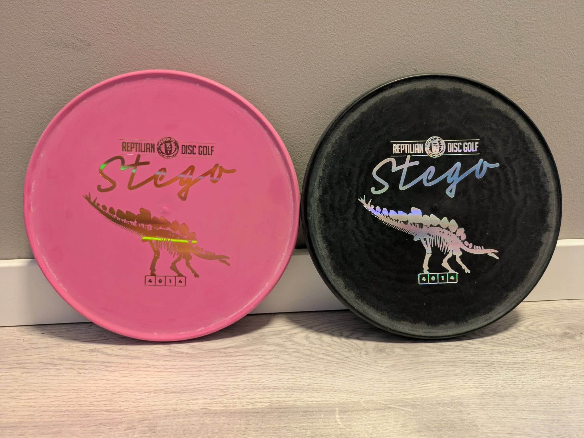 Fossil Stego